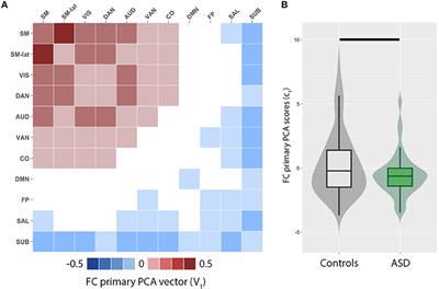 Imbalance of Functional Connectivity and Temporal Entropy in Resting-State Networks in Autism Spectrum Disorder: A Machine Learning Approach